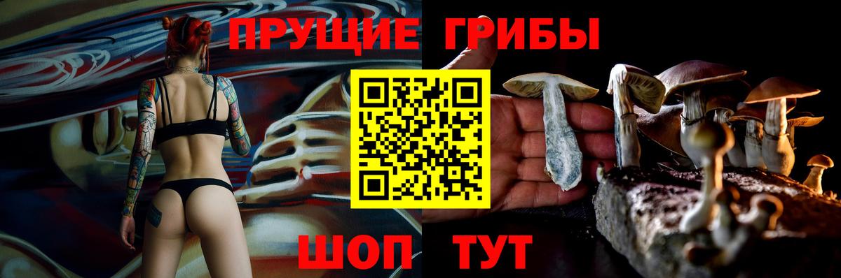 Галлюциногенные грибы Psilocybine cubensis  наркотики  Лянтор  Вход с VPN 